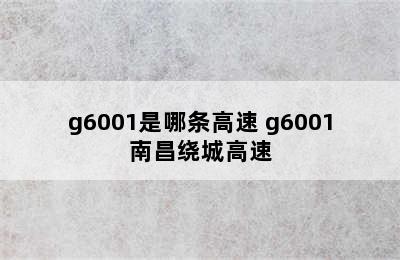 g6001是哪条高速 g6001南昌绕城高速